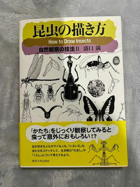 昆虫の描き方 自然観察の技法II 盛口満