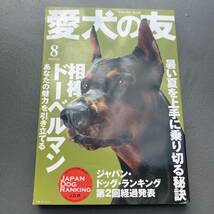 愛犬の友 2008年8月号 ドーベルマン 送料185円_画像1
