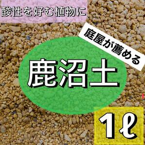 庭屋が薦める上質鹿沼土 1リットル　小粒 多肉植物 サボテン 観葉植物 土