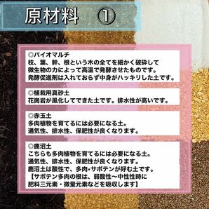 ◎庭屋が作った多肉用配合土◎ 15リットル 多肉植物 サボテン 挿木 種まき 魂根植物 観葉植物 の画像3