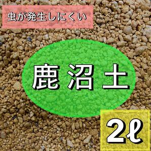 上質鹿沼土　2リットル　小粒 多肉植物 サボテン 観葉植物 土　ガーデニング　アガベ　エケベリア　玉扇