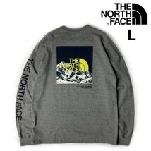 1円～!売切!【正規新品】THE NORTH FACE L/S LOGO PLAY TEE 長袖 Tシャツ ロンT US限定 袖ロゴ ヒマラヤ 落描き風 上質(L)グレー 180902-20_画像1