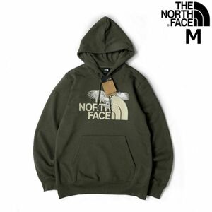 1円～!売切!【正規新品】THE NORTH FACE◆AMERICANA PULLOVER HOODIE パーカー グラフィック イーグル US限定 裏起毛(M)カーキ 181130-33