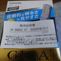 GIGA LEDバルブ BW553 H8/H9/H11/H16 6000K 7000lm_画像3