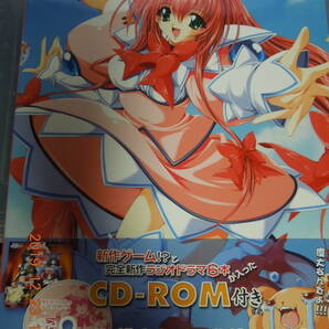 メタモルファンタジー 公式ビジュアルファンブック / 初版 CD-ROM付き / 光姫満太郎の画像1