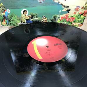 【中古LPレコード】細野 晴臣 haruomi hosono / はらいそ Paraiso | ALR-6003 ハリー細野 & ザ・イエロー・マジック・バンドの画像4