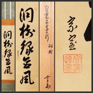 【古美味】淡々斎 自筆一行書「洞樹緑含風」軸装 茶道具 保証品 J4Mx