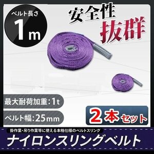 全国一律【送料無料】ナイロンスリングベルト 1ｍ×1000kg×25mm 耐荷重1ｔ★荷揚げ 吊り上げ 吊り下げ 玉掛け運搬に【2本セット】