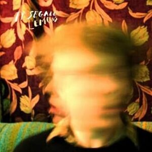 Lemons Ty Segall 輸入盤CD