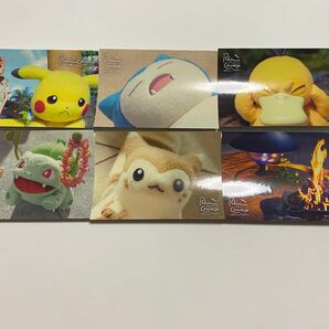 ポケモンセンター　ポケモンコンシェルジュ　採用クイズ　ステッカー