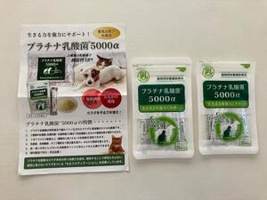 即決！プラチナ乳酸菌 5000α★動物用栄養補助食品 サプリメント 健康食品 ペット 犬 猫 腸活　健康　体調