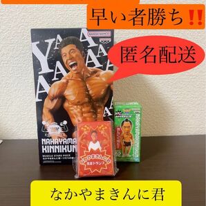 MUSCLE STARS PIECE なかやまきんに君〜りそうの姿〜 名言トランプ パワールドコレクタブルフィギュア