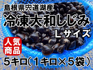 ☆大人気・贈答品にも　島根県宍道湖産　砂抜き済　大和しじみ　大サイズ　５キロ　 生冷凍　　簡単レシピ付き♪