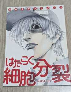 はたらく細胞分裂 小冊子サプリメント 月刊少年シリウス2017年9月号付録