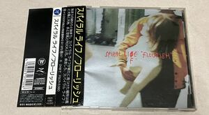 帯付　SPIRAL LIFE FLOURISH　スパイラルライフ フローリッシュ　値下げ