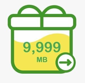 mineo　マイネオ　パケットギフト　約10GB（9999MB）