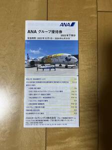 ANA　全日本空輸　株主優待　グループ優待券　全日空　2024年5月31日期限