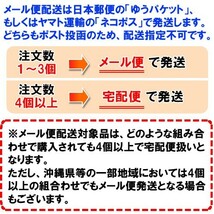 平均分子量約2000の超低分子 ヒアルロン酸 10000mg 日本製造品 原末 純末 メール便 送料無料_画像2