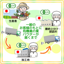 桑の葉パウダー 100g 桑の葉青汁 桑の葉茶 粉末 有機栽培 オーガニック 京都府産 国産 送料無料_画像10