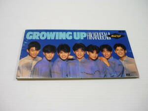 [管00]【送料無料】CD 光GENJI / GROWINGUP 邦楽 内海光司 大沢樹生 諸星和己【8cmCD】