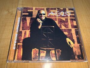 【即決送料込み】Stevie Wonder / スティーヴィー・ワンダー / A Time To Love / タイム・トゥ・ラヴ 輸入盤CD