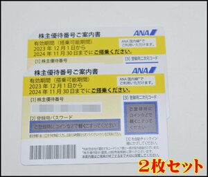 2枚セット 送料税込 最新 全日空 ANA 株主優待券 2024年11月30日迄 50%割引 コード通知のみも可能