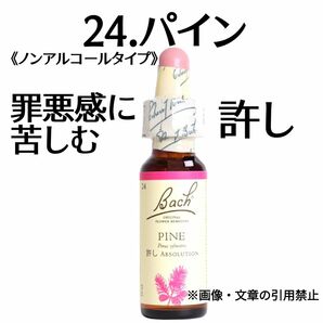 24.パイン（10ml）ノンアルコールバッチフラワーエッセンス　グリセリンベースフラワーエッセンス　Nelson社