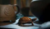 極美古銅煎茶道具 質感 在銘 細工 銅亀置物_画像1