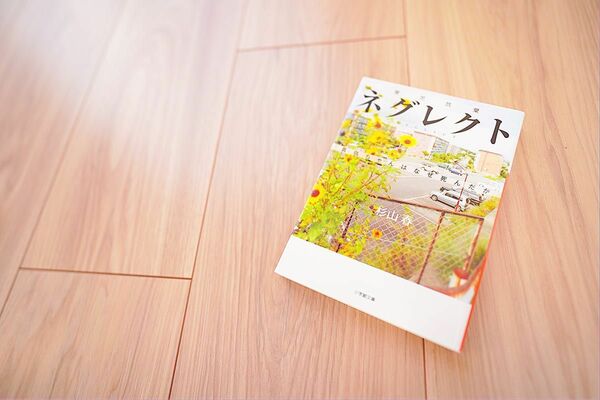 【2冊買い値引可】ネグレクト(小学館文庫)—杉山春