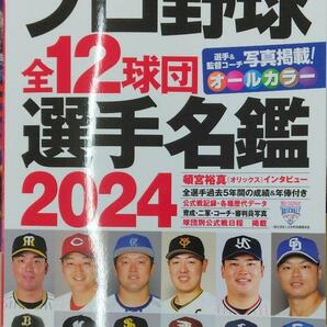 完全新品　プロ野球全12球団選手名鑑2024 (COSMIC MOOK)