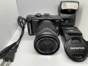 Panasonic LUMIX DMC-GF1（バッテリー・充電器・ストロボ・OLYMPUS M.ZUIKO DIGITAL ED 40-150mm望遠レンズ付き） ルミックス