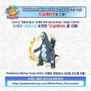 【韓国版】ポケットモンスター　セグレイブ　シリアルコード　1セット　winter festa