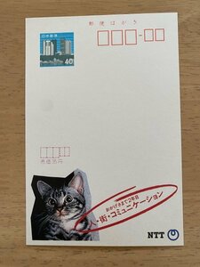 額面40円はがき　エコーはがき　未使用はがき　広告はがき　NTT　人・街・コミュニケーション　ねこ　猫