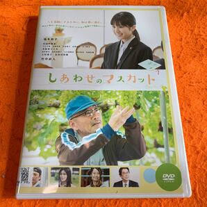 しあわせのマスカット　 DVD 福本莉子