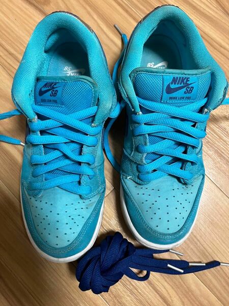 25.5 NIKE SB DUNK LOW PRO BLUE FURY 