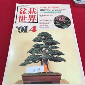 a-365 bonsai world 4.... road middle chronicle Hara . manner . leaf pine. taste attaching . point . know no. 65 times . Hara manner bonsai exhibition 1991 year 4 month 1 day issue *3