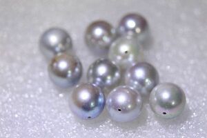 アコヤ真珠７．８１gパールルース　両穴　１０ピース　８mmアップ　ブルーグレーカラー
