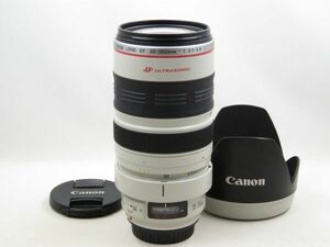 [21794Y6]★極上美品★CANON EF 35-350mm F3.5-5.6 L USM フード・三脚座付き