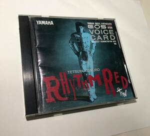 YAMAHA ヤマハ EOS B500 VOICE CARD TK1 RHYTHM RED 小室哲哉 ボイスカード