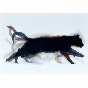  【新品/即決/ドイツ製】L.M.kartenvertrieb /LMカード/3D アニメーション ポストカード/Eadweard Muybridge/cat running/黒猫(lu-012)