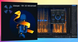 iZotope RX 10 Advanced v10.5.0 for Windows ダウンロード 永続版 オーディオリペア ミックス マスタリング Audio Editor