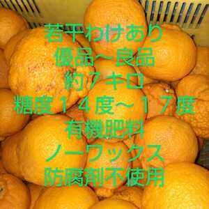 ◆送料込み◆　和歌山　◆若干わけあり◆デコポン◆不知火◆約７キロ◆有機肥料◆大きさ色々◆糖度は１４～１７度　