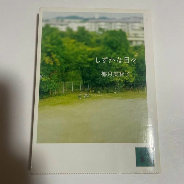 しずかな日々 （講談社文庫　や５８－２） 椰月美智子／〔著〕