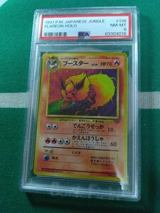 ポケモンカード　PSA8 ブースター（ 旧裏・マークあり・ホロ・ジャングル編・1997年発行・PSA日本支社鑑定品）他にも鑑定品出品中