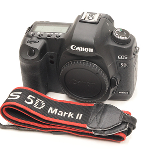 Canon キャノン EOS 5D Mark II ボディ テスト撮影で作動確認済み