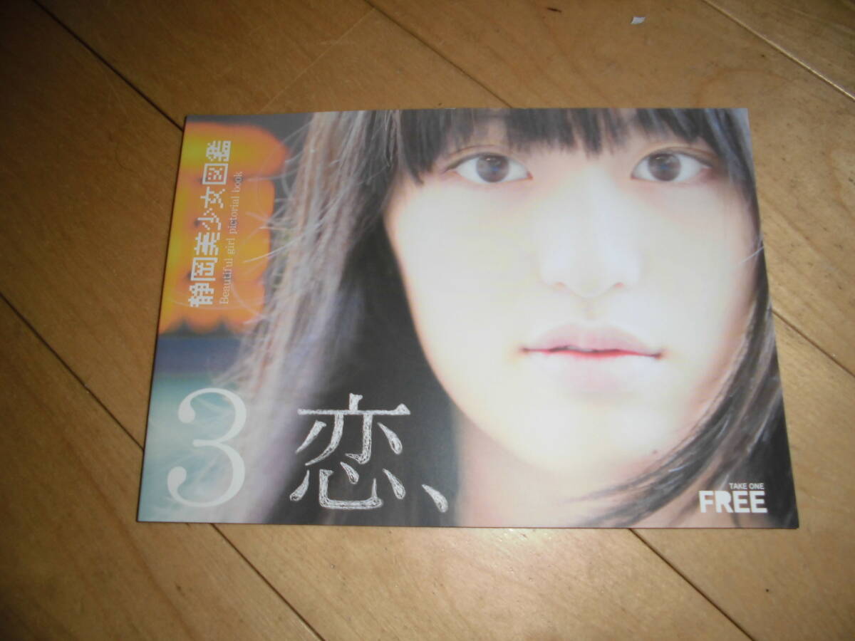 Shizuoka Beautiful Girl Encyclopedia 3//Koi, //Mini photo book//Not for sale!, fashion, woman, teens, street
