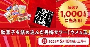 懸賞 応募券　12口　( 駄菓子詰め合わせ？　1000名