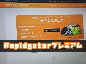 【10年分】Rapidgator プレミアム 匿名 サポートあり W622 s