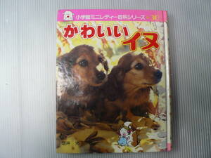 小学館ミニレディー百科シリーズ かわいいイヌ/小学館 昭和62年