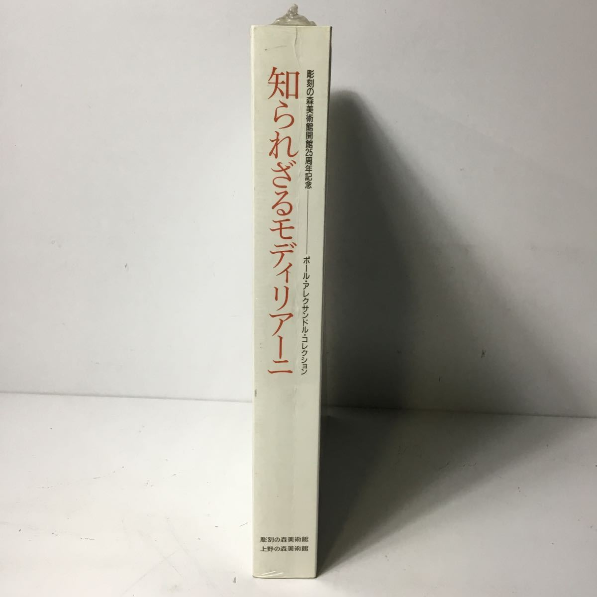 Ungeöffnet Unbekannt Modigliani Open Air Museum 25th Anniversary Art Book Buchkatalog Kunstbuch TS2B1, Malerei, Kunstbuch, Sammlung von Werken, Illustrierter Katalog